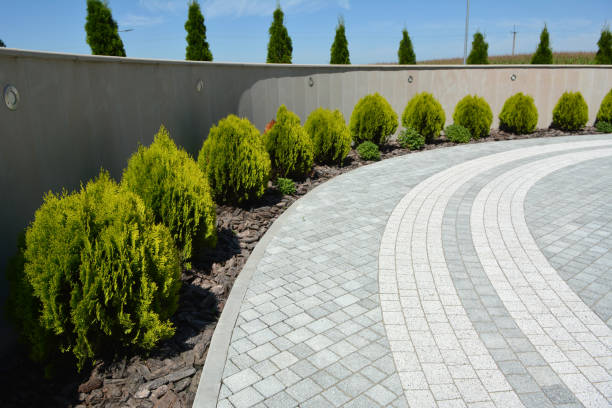 Best Driveway Paving Contractor  in Volcano Golf Course, HI